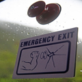 In Case of Emergency, Bulk Up