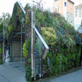 Flower Arch